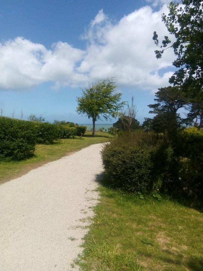 Aire De Camping Car, Caravane, Tente Emplacement Nu Avec Electricite Petit Camping Otel Plestin-les-Grèves Oda fotoğraf