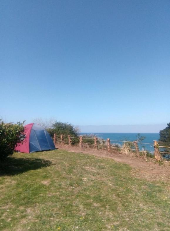 Aire De Camping Car, Caravane, Tente Emplacement Nu Avec Electricite Petit Camping Otel Plestin-les-Grèves Dış mekan fotoğraf